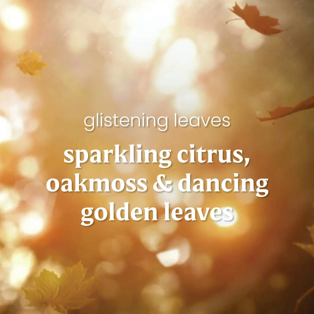 Glistening Leaves